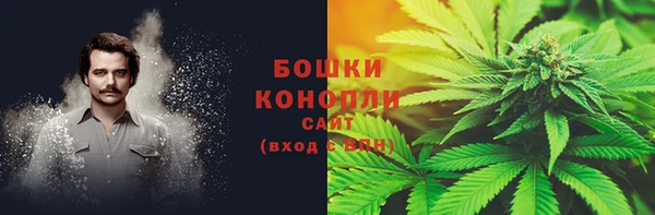 трава Козельск
